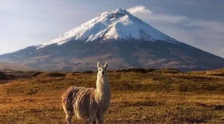 Vulcão Cotopaxi