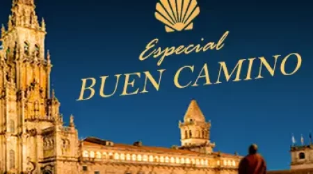 banner-p-especial-caminho-de-santiago