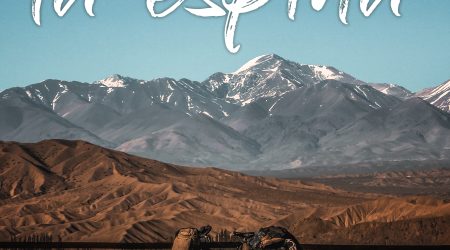 laepsina1-blogmt