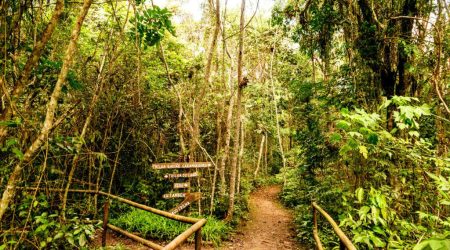 trilha-interparques-01-1024x575